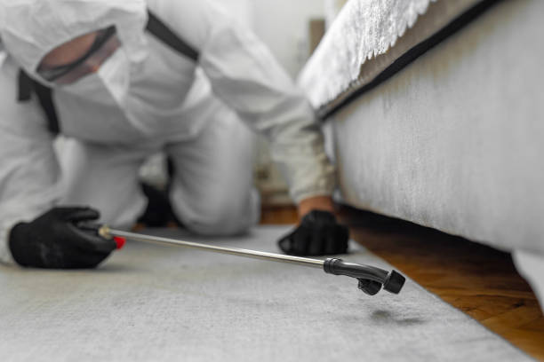 Professional Termite Control technician working in Ellsworth, KS