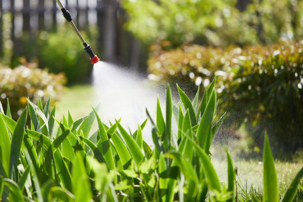 24/7 Emergency Termite Control experts in Ellsworth, KS