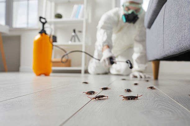 Trusted Cockroach Control service in Ellsworth, KS - Nex Pest Control