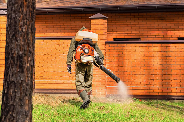 Trusted Ant Control service in Ellsworth, KS - Nex Pest Control
